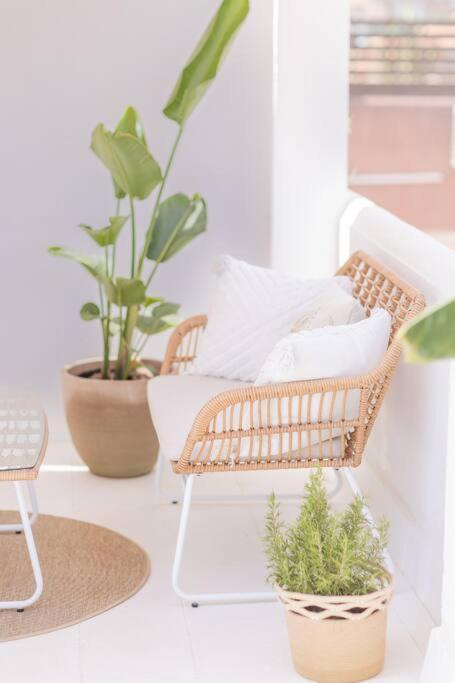 Downtown Flat With 46 Sqm Private Rooftop Terrace Málaga Exterior foto